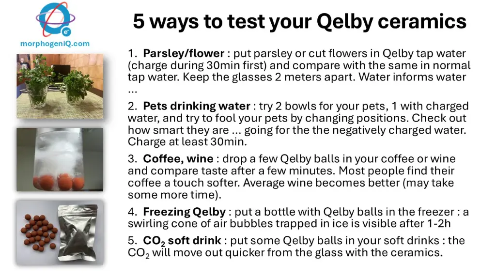 5 ways to test your Qelby ceramics.webp